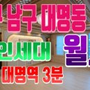 YOLOHOUSE 이미지