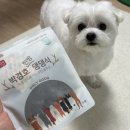 마이애펫