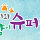 솔솔이와 고양이 슈퍼밴드 네이버블로그