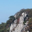 팔공산 하늘정원 이미지