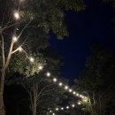 진도 카멜리아 힐즈 오토캠핑장 이미지