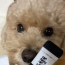 맥스농장 이미지