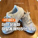 엘에치(L.H)세탁 | 하얀신발 어떻게 세탁할까? 흰 신발 초간단 하얗게 만드는법