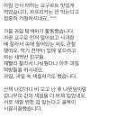 베비텔어린이집 이미지