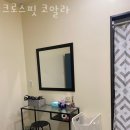 크로스핏 코알라 이미지