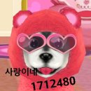 써니퍼피 이미지