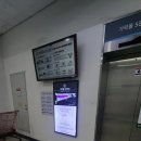 돌고래회 이미지