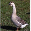 성체유치원 놀이터 이미지