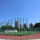 도안문화공원풋살장 이미지