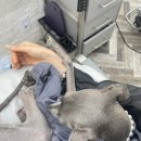 순자헤어샵 이미지