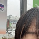 세종 나성동 속눈썸펌 잘하는 곳 추천!!! [올리브뷰티아카데미]