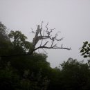 지리산 하늘아래 이미지