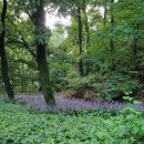 두교산업단지 | 비 오는 수요일 하루 두교 산업 단지 방문 후기