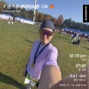 제2자유로주유소 | 2025 손기정 평화마라톤 10k/고양시 제2자유로 완주 후기