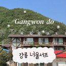 강원도 강릉서핑 게스트하우스 친구랑 여행 |너울서프