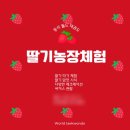 동삭 월드태권도장 네이버블로그