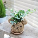 해남노인종합복지관 이미지