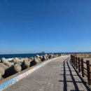 제주너른스테이 이미지