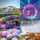 전원사슴농장 | 4월 5월 제주도 가볼만한곳 제주도 가족 여행 코스