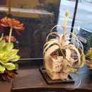 윤자푸드 이미지