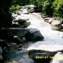 예솔누리 이미지