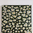 피리부는사나이 | 피리부는 사나이 아니고 이모