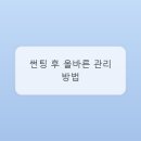 범주썬팅