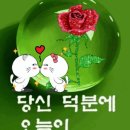 수지상사 이미지