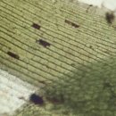 김성원한의원 이미지