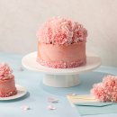 케이크바이케이크 이미지