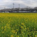 윤부자공인중개사사무소 이미지