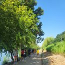 인터벌워킹 크루 이미지