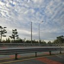 런린이의 첫도전! 섬꽃 전국 마라톤대회 10km 참가기 [힘쎈요가선생의 러닝도전기,부산 달리기+요가]