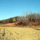 특구로27번길 이미지