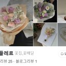 도도플레르 이미지