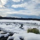 라데나 제주 이미지