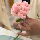 꽃들의 미소 | [부산전포동]마라메이드 분홍카네이션만들기, 특별한 마음을 담은 모루 꽃 원데이클래스