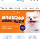 마이펫 동물병원 이미지