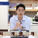 피개행개 이미지