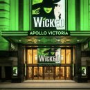 로타리밧데리 | 런던 뮤지컬 예매: 라이온킹 위키드 로터리 티켓 데이시트 당첨 후기