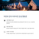 5월 가족의 달, 남이섬 캠핑 여행! 감성 숙소와 축제 즐기는 1박 2일 코스