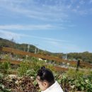 숲깊은 농장 이미지