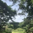 윤가네곤드레밥 이미지