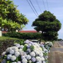 안덕산방도서관 이미지