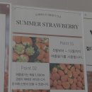 대치2-114 | 강남 대치동 케이크 맛집 프레베리 대치본점 방문 후기 생과일케이크 추천