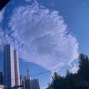 (주)슬기로운늑대 | 김포공항 롯데시네마, <늑대사냥 무대인사> 보고 왔어요~!