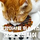 포켓피쉬 | 고양이 건식 추천 사료 위스카스 포켓 오션피쉬 후기 아기부터 성묘까지 내돈내산