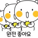 극동세탁 이미지