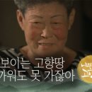 바다기획 네이버블로그