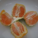 제주전통하우스 이미지